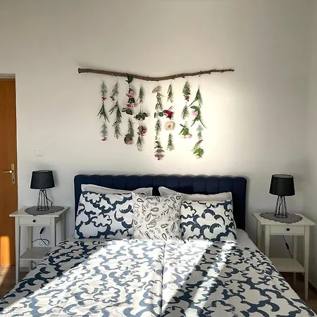 Great Seaview セルツェ